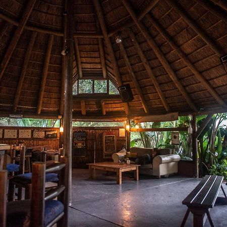 Fairy Knowe Backpackers Lodge Уилдернесс Экстерьер фото