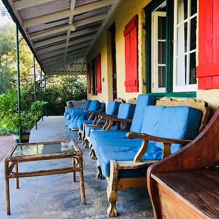 Fairy Knowe Backpackers Lodge Уилдернесс Экстерьер фото