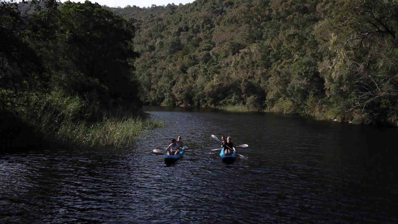 Fairy Knowe Backpackers Lodge Уилдернесс Экстерьер фото