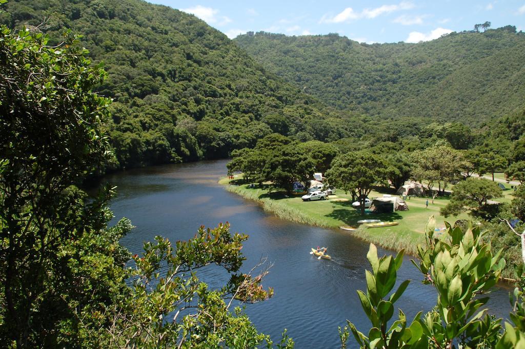 Fairy Knowe Backpackers Lodge Уилдернесс Экстерьер фото