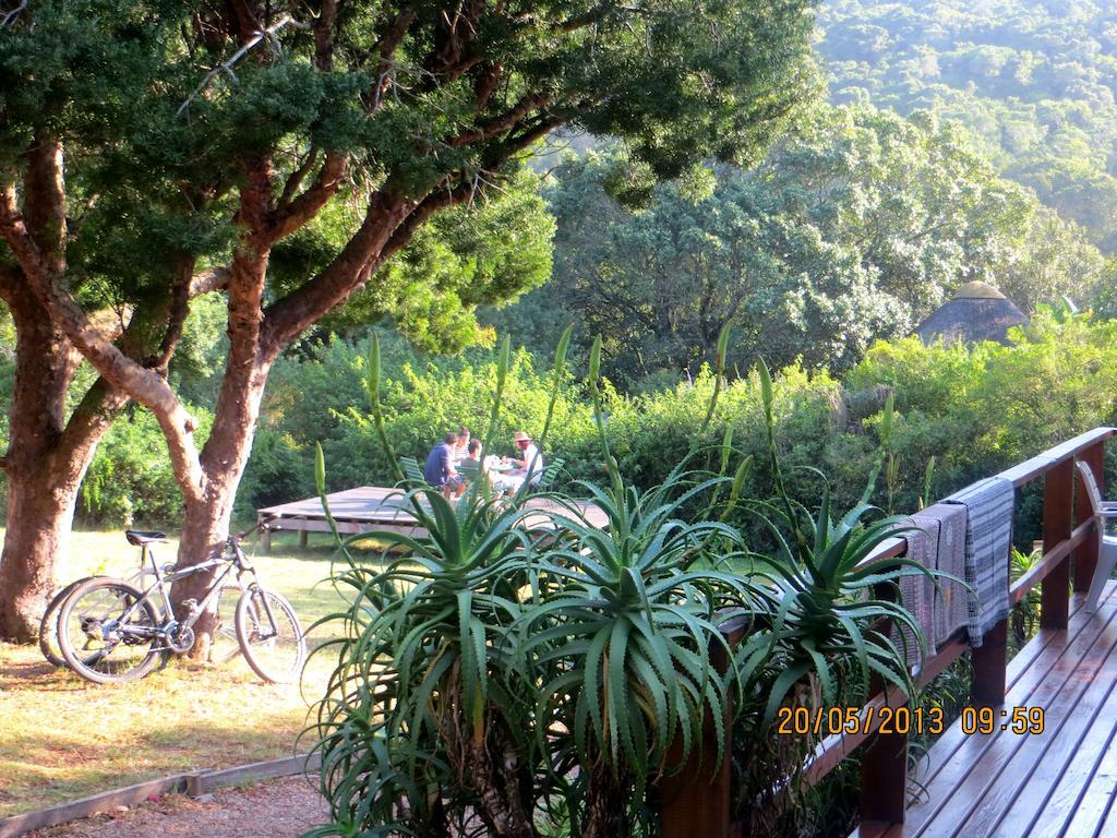 Fairy Knowe Backpackers Lodge Уилдернесс Экстерьер фото