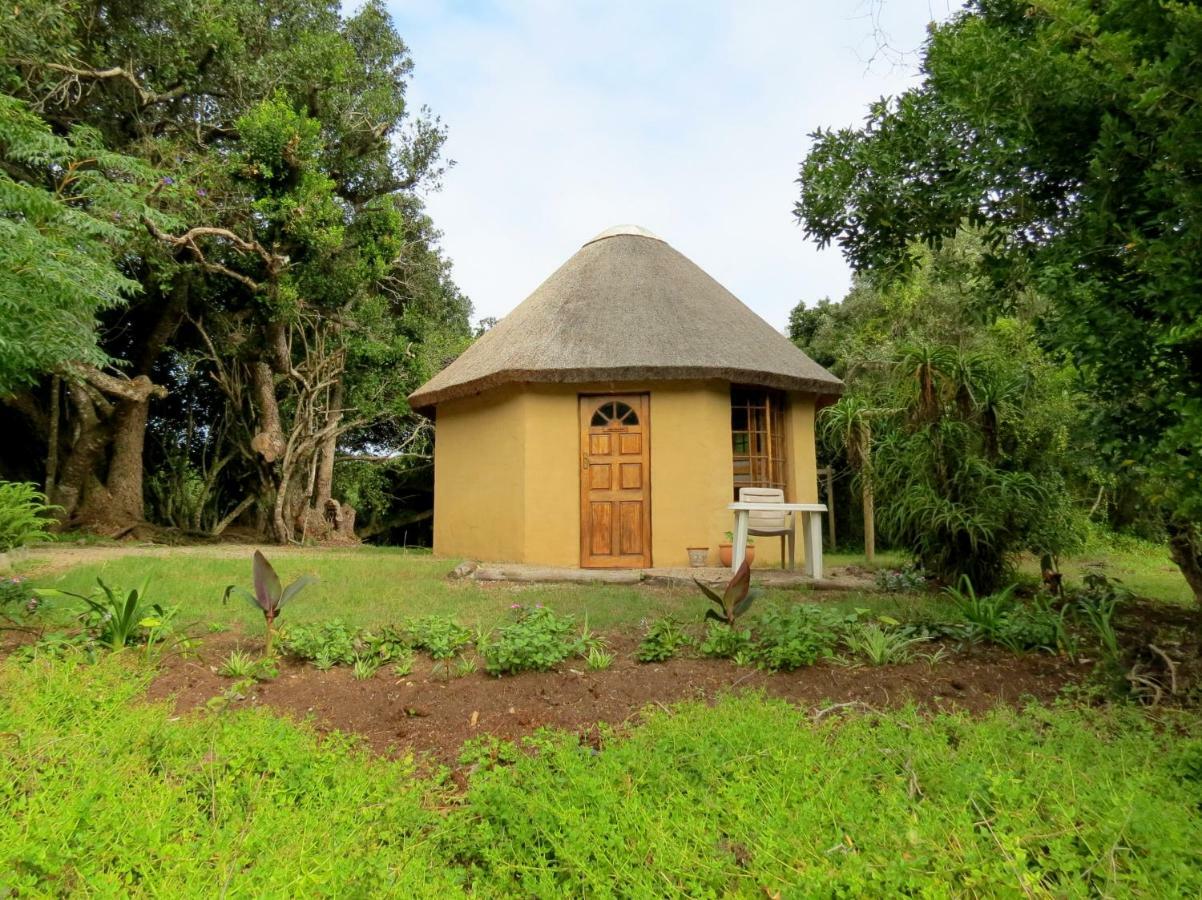 Fairy Knowe Backpackers Lodge Уилдернесс Экстерьер фото