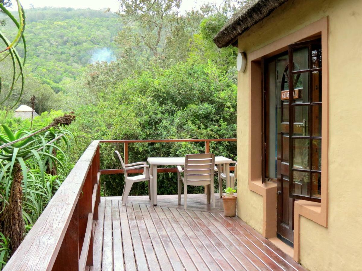 Fairy Knowe Backpackers Lodge Уилдернесс Экстерьер фото