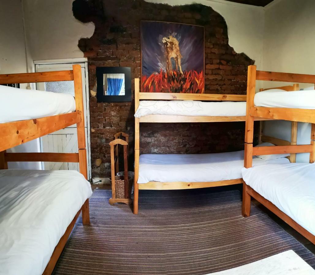 Fairy Knowe Backpackers Lodge Уилдернесс Экстерьер фото