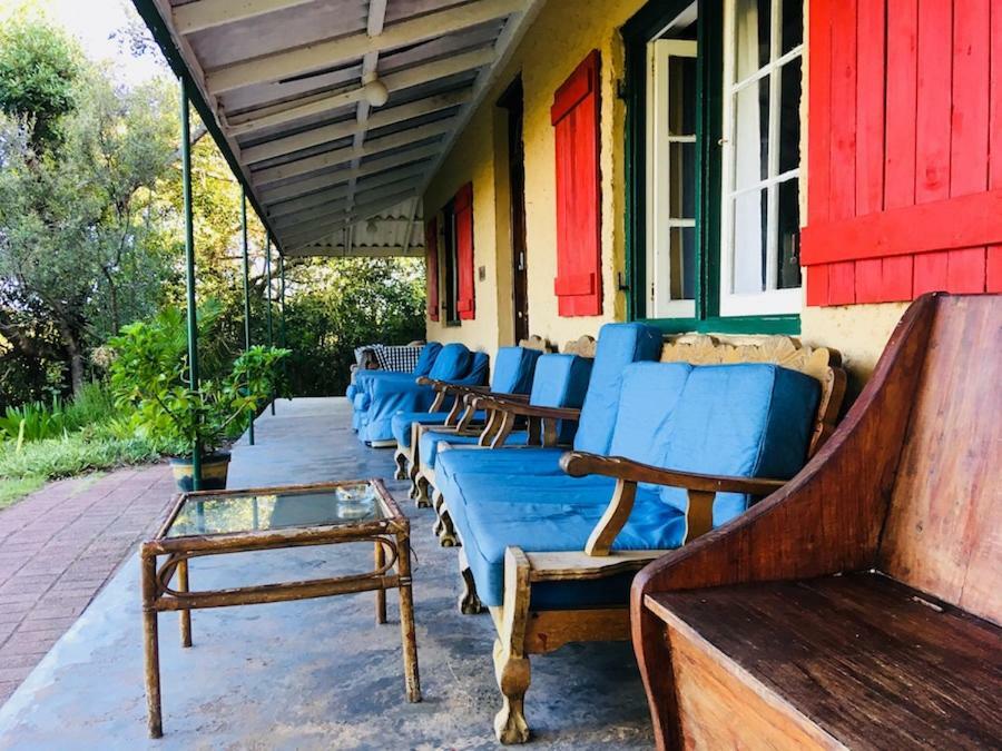 Fairy Knowe Backpackers Lodge Уилдернесс Экстерьер фото